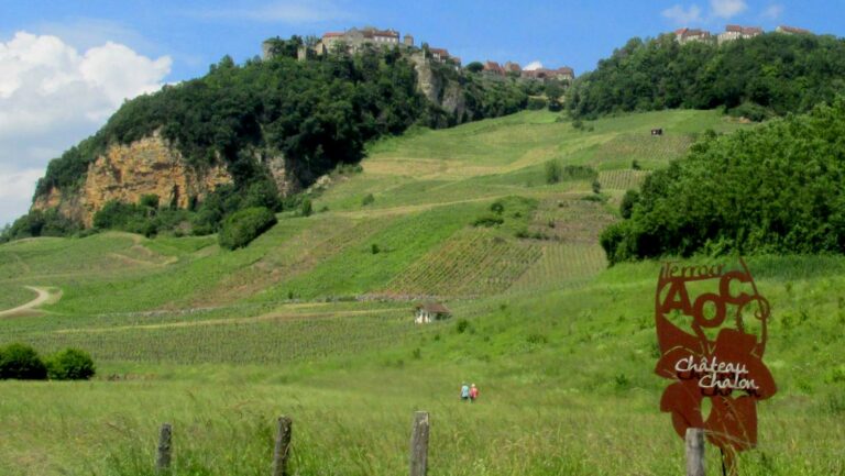 Les vins du Jura